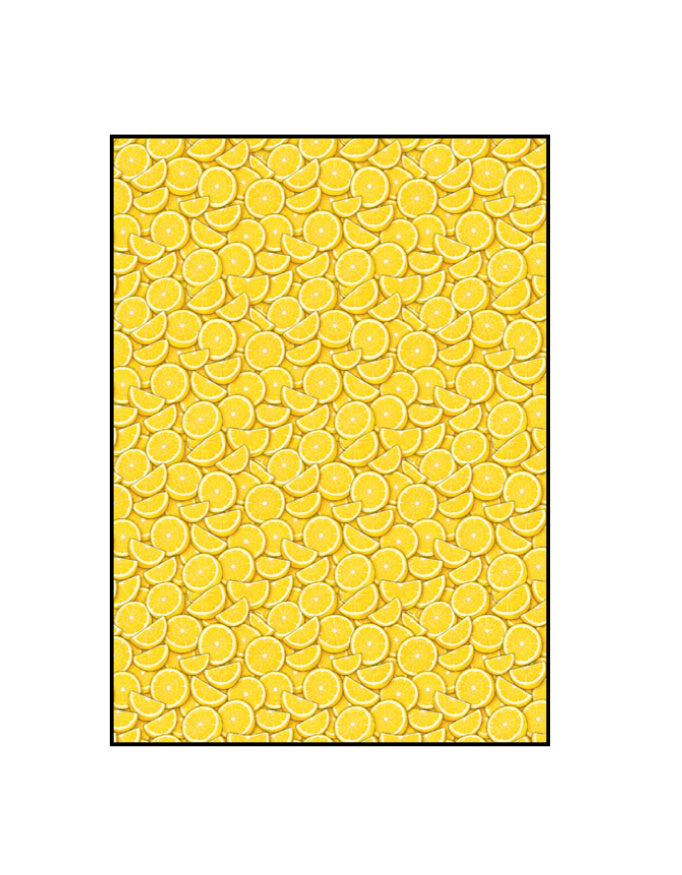 Back_2_c_17.jpg