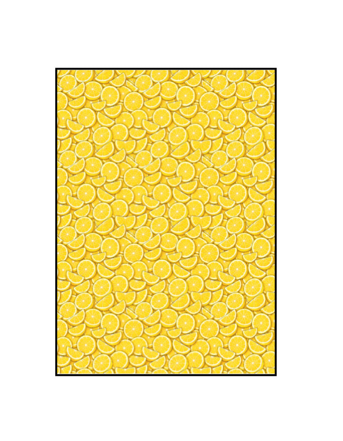 Front_1_c_17.jpg