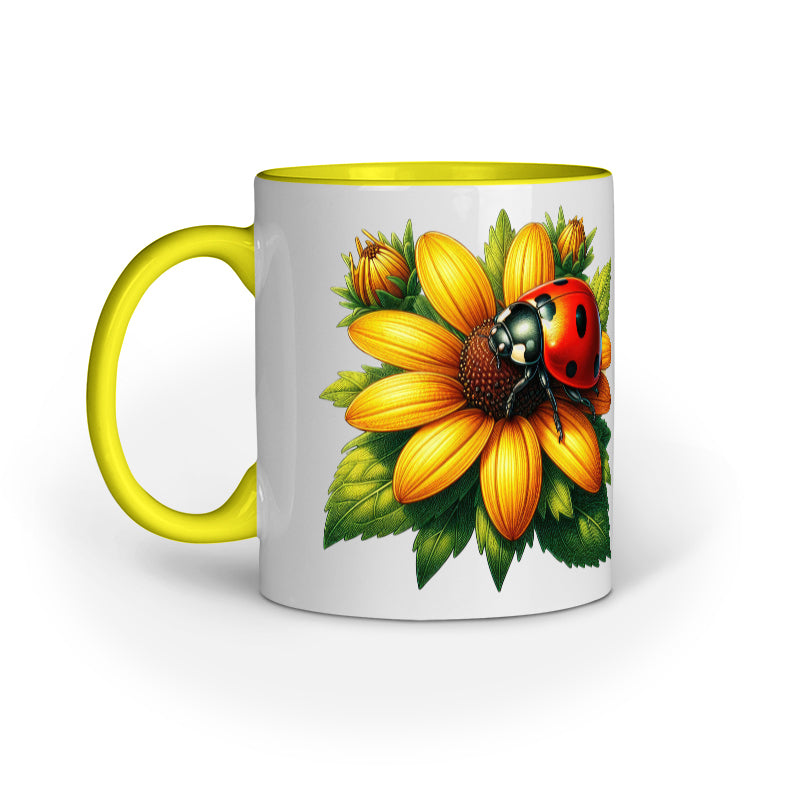 Front View - 5386384