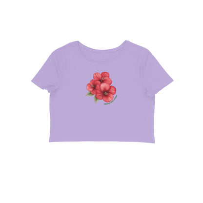 Front View - 5796486