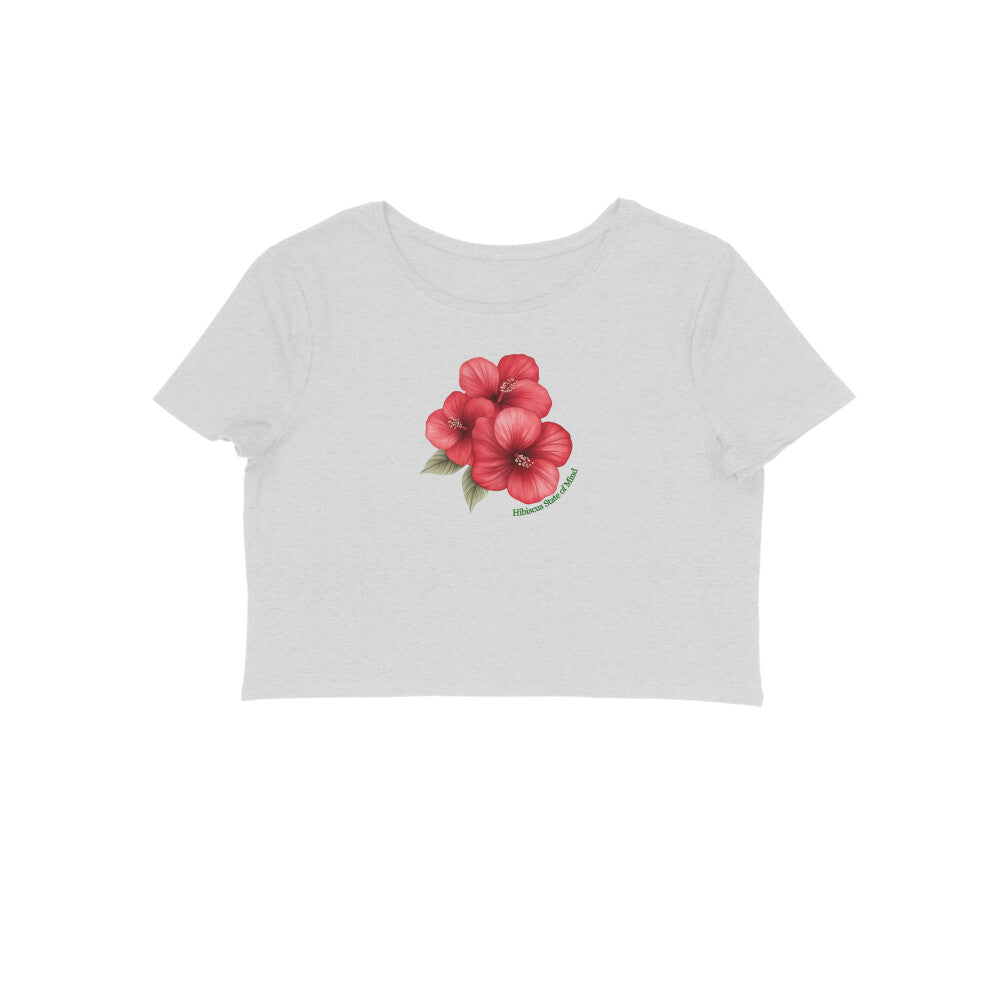 Front View - 5796489