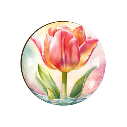 Front View - 5812029