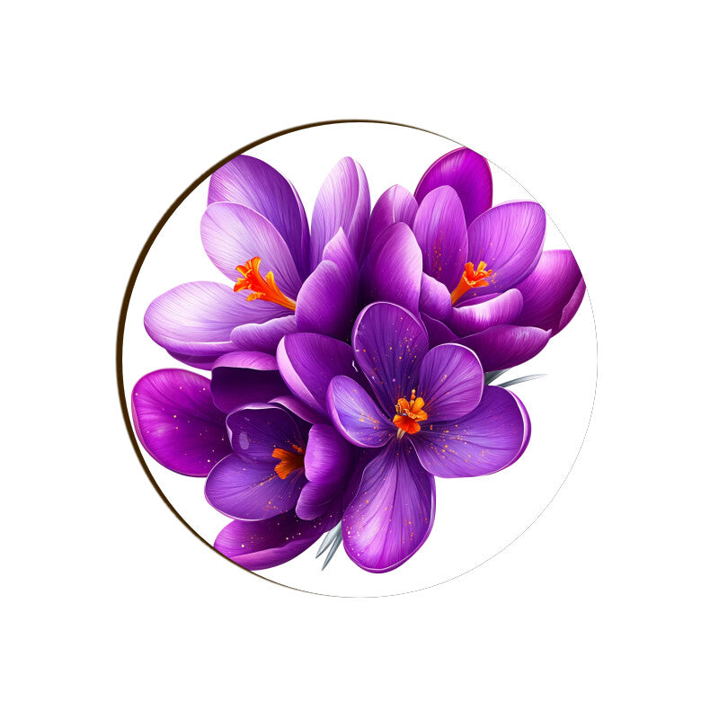 Front View - 5812096