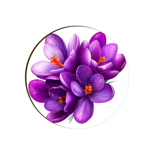 Front View - 5812096