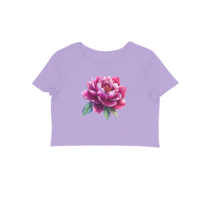 Front View - 5813611