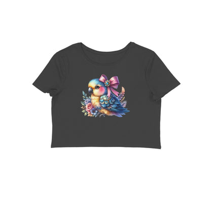 Front View - 5814911