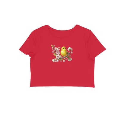 Front View - 5830767