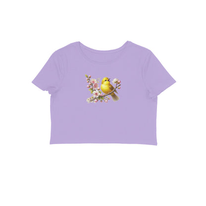 Front View - 5830771