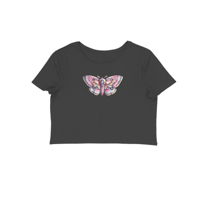 Front View - 5831066